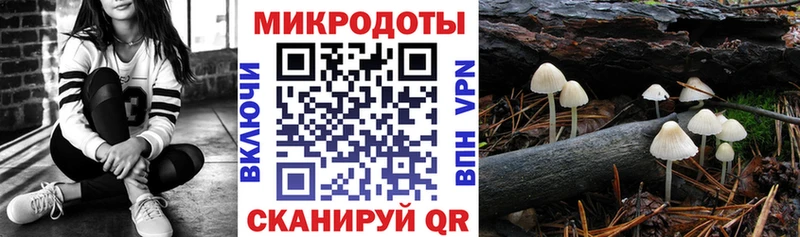 kraken зеркало  продажа наркотиков  Тимашёвск  Галлюциногенные грибы MAGIC MUSHROOMS 